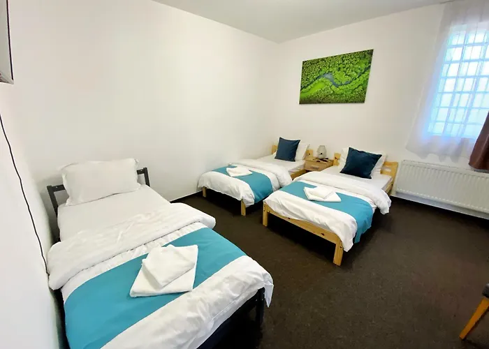 Park House ゲストハウス